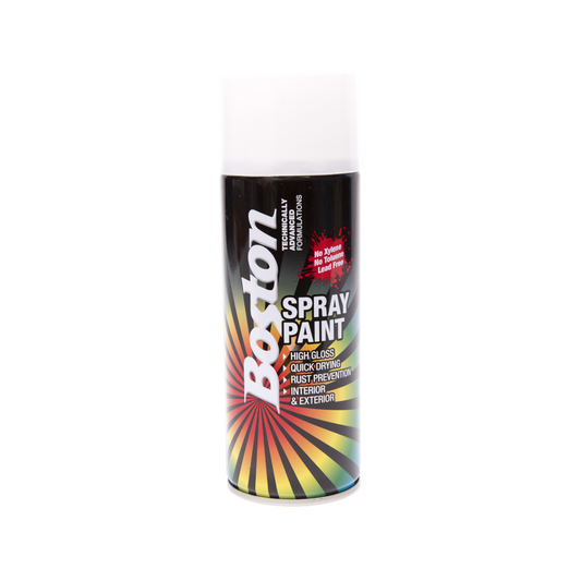 Paint, Boston, Aerosol Enamel, Quick Drying, Gloss White, 250g - Each