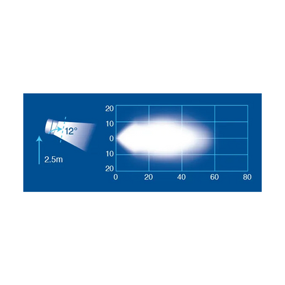 Work Lamp, Narva, High Powered LED Flood Beam, 9-33v - Each