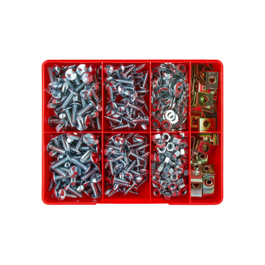 Anti-Theft Screw Assortment, Champion, Metric, Zinc, Self-Tapping, Washers/Nuts, 6 Sizes - 560 Piece